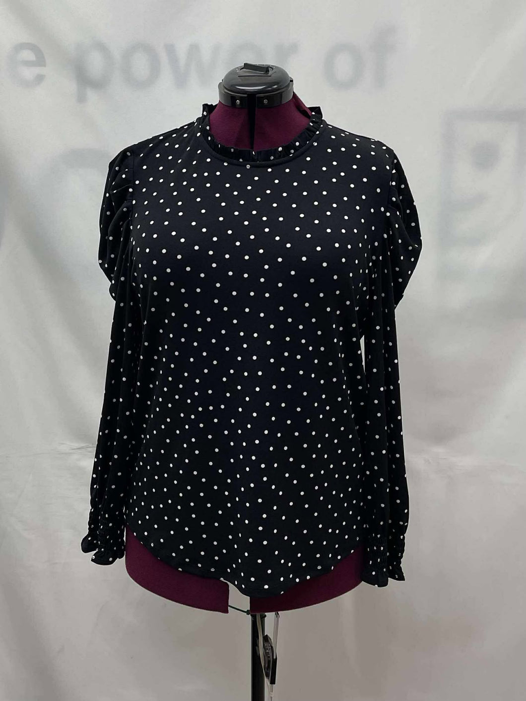 Women's Adrianna Papell Long Sleeve Top, Large