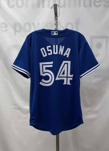 Children's Majestic Short Sleeve Blue Jays Jersey, 10/12