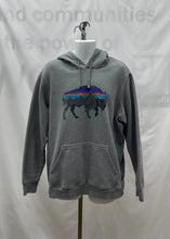 Load image into Gallery viewer, Men's Patagonia Long Sleeve Hoodie, Large
