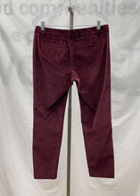 Load image into Gallery viewer, Women's Banana Republic Pants, 6
