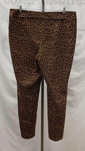 Load image into Gallery viewer, Women's Tanjay Pants, 2XL

